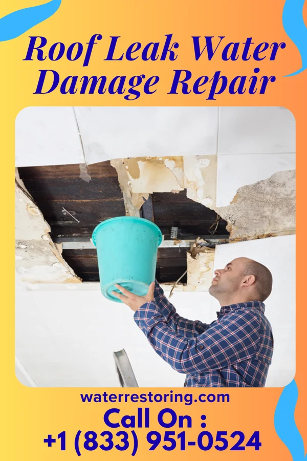 Roof Leak Water Damage Repair in West Union, MN