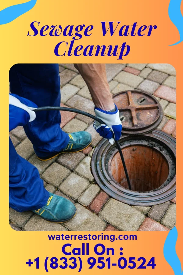 Sewage Water Cleanup in West Union, MN